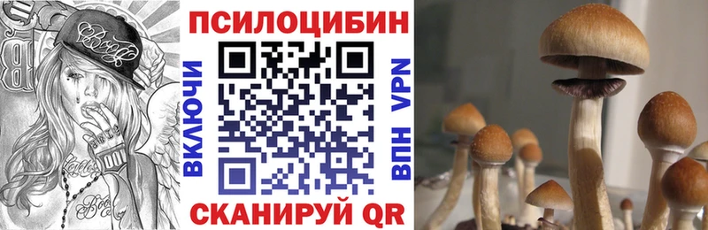 OMG рабочий сайт  Гулькевичи  Галлюциногенные грибы Psilocybine cubensis  где продают наркотики 